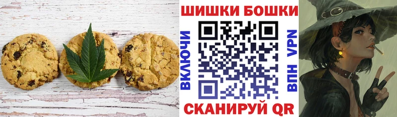 Купить где  Дегтярск  Canna-Cookies конопля 