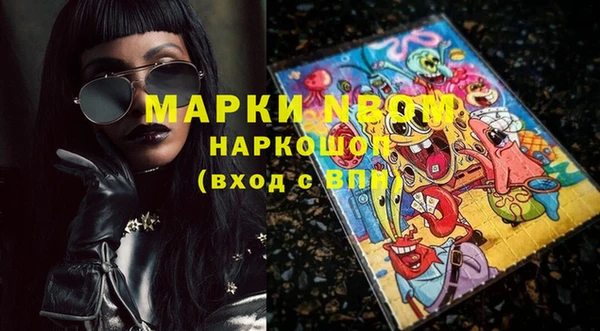хмурый Богородицк