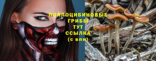 тгк Богородск