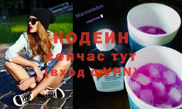 хмурый Богородицк