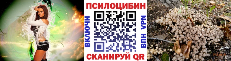Галлюциногенные грибы Psilocybine cubensis  Купить  Дегтярск 